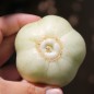 Preview: Gurke Chrystal Apple (Samen)