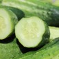 Preview: Gurke Delicius (Samen)