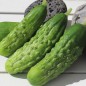 Preview: Gurke Homemade Pickles (Samen)