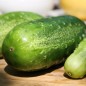 Preview: Gurke Homemade Pickles (Samen)