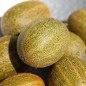 Preview: Gurke Little Potato (Samen)