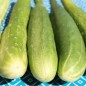 Preview: Gurke Long de Chine (Samen)