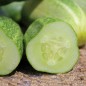 Preview: Gurke Rhinish Pickling (Samen)