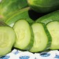 Preview: Gurke Tendergreen Burpless (Samen)