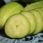 Preview: Gurke Thai Mae Sai (Samen)