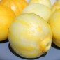 Preview: Gurke True Lemon (Samen)