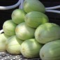Preview: Gurkenmelone Carosello Barese (Samen)