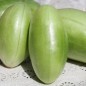 Preview: Gurkenmelone Carosello Bianco Leccese (Samen)