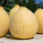 Preview: - Kopie - Kopie - Kopie