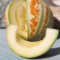 Preview: - Kopie - Kopie - Kopie - Kopie