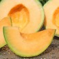 Preview: Honigmelone Oka (Samen)