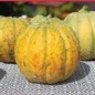 Preview: - Kopie - Kopie - Kopie - Kopie - Kopie