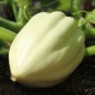 Preview: Kürbis Thelma Sanders Sweet Potato (Buschkürbis) (Samen)