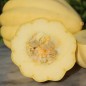 Preview: Kürbis Thelma Sanders Sweet Potato (Buschkürbis) (Samen)
