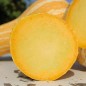 Preview: Kürbis Orange Striped Cushaw (Samen)