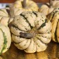 Preview: Kürbis Sweet Dumpling (Buschkürbis) (Samen)