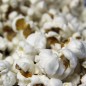Preview: Popmais Grünperl (Samen)