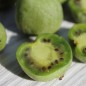 Preview: Mini-Kiwi Bojnice weiblich (Pflanze)