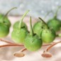 Preview: Morelle Verte (Samen)