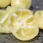 Preview: - Kopie - Kopie - Kopie