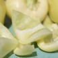Preview: - Kopie - Kopie - Kopie