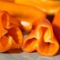 Preview: Neu! Paprika Crunshino orange (Samen)
