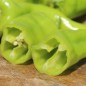Preview: Neu! Paprika Cubanelle (freilandgeeignet) (Samen)