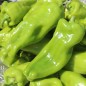 Preview: Neu! Paprika Cubanelle (freilandgeeignet) (Samen)