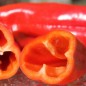 Preview: Paprika Giant Aconcagua (Samen)