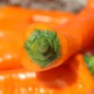 Preview: Neu! Paprika Ramiro Orange (Samen)
