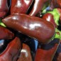 Preview: - Kopie - Kopie - Kopie - Kopie - Kopie - Kopie