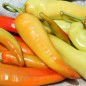 Preview: Paprika Sigaretta Bionda (Samen)