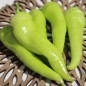 Preview: Paprika Sigaretta Bionda (Samen)