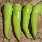 Preview: Paprika Sigaretta Bionda (Samen)
