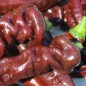 Preview: Neu! Paprika XL Long Brown Sweet (Samen)