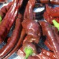 Preview: Neu! Paprika XL Long Brown Sweet (Samen)