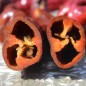 Preview: Neu! Paprika XL Long Brown Sweet (Samen)