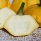 Preview: Patisson Yellow (Samen)