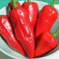 Preview: Chili Piment d'Espelette (Schärfe 4) (Samen)