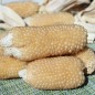 Preview: - Kopie - Kopie - Kopie - Kopie