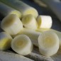 Preview: Sommer-Porree Früher Sommer (Samen)