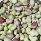 Preview: Puffbohne Extra Precoce a Grano Violetto (Samen)