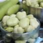 Preview: Puffbohne Sciabola Verde (Samen)