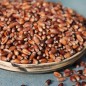 Preview: Rotkornweizen Granat (Samen)