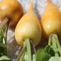 Preview: - Kopie - Kopie - Kopie - Kopie