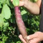 Preview: - Kopie - Kopie