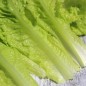 Preview: Pflücksalat Australischer Zartblättriger (Samen)