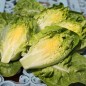 Preview: Salat Little Gem (Samen)