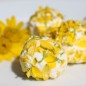 Preview: Sommermargerite Gloria (Samen)