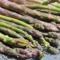 Preview: Spargel Argenteuil (Pflanze)